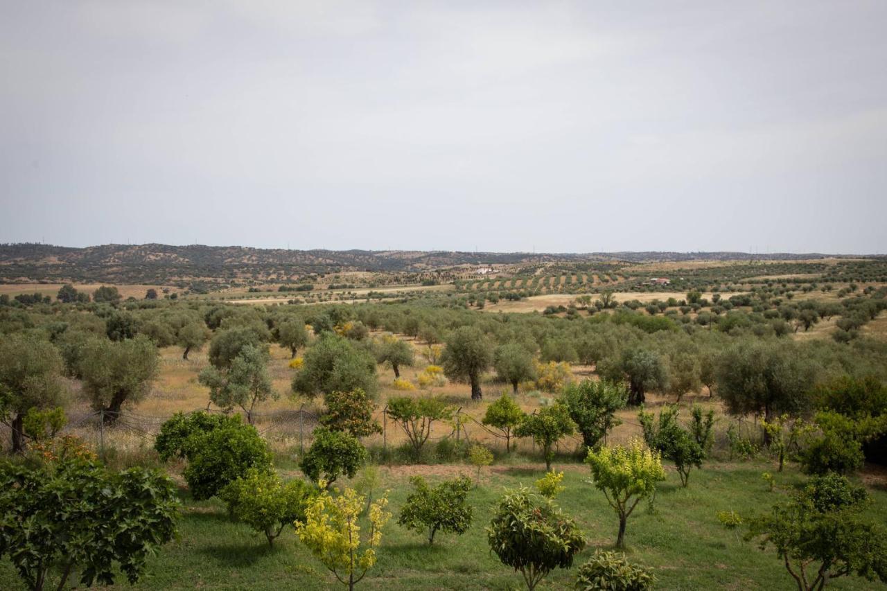 Passo Do Lobo - Turismo Rural Moura Zewnętrze zdjęcie